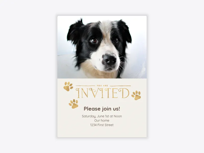 Golden Paws (Photo) - pet_party - Invitation