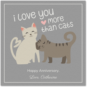 Pet Cat Love Card