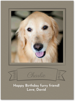 Pet Frame Card