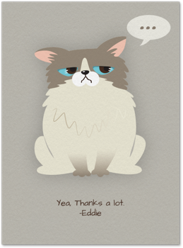 Pet Angry Cat Card