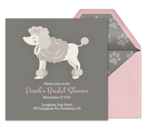 Pet Fancy Dogs Invitation