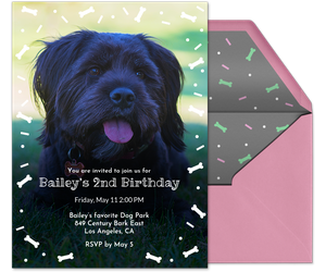 Bailey's Birthday Invitation