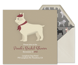 Pet Fancy Dogs Invitation