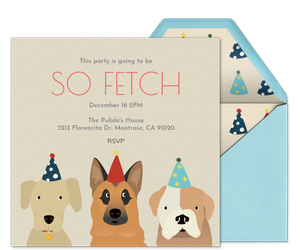 Pet Birthday Hats Invitation