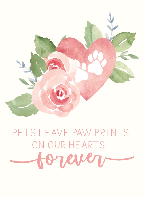 Perfect Paws - sympathy_cards - Card