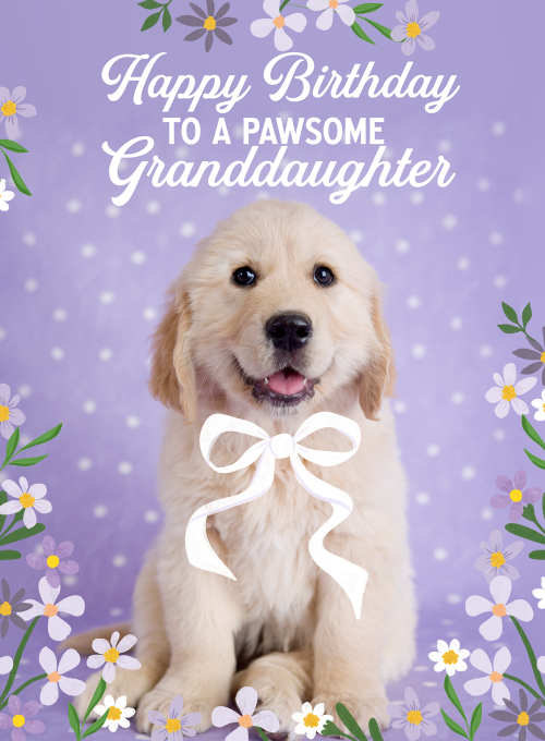 Daisy Dog - birthday_cards - Card