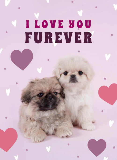 Furever Kind of Love - valentines_day_cards - Card