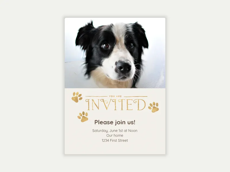 Golden Paws (Photo) - pet_party - Invitation