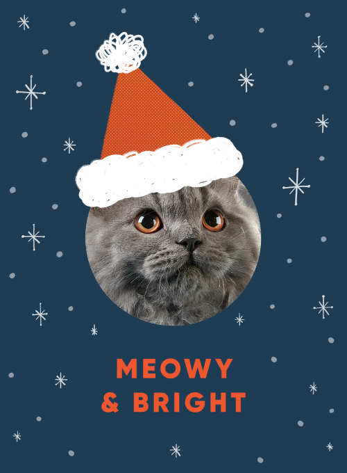 Meowy & Bright (Photo) - christmas_cards - Card