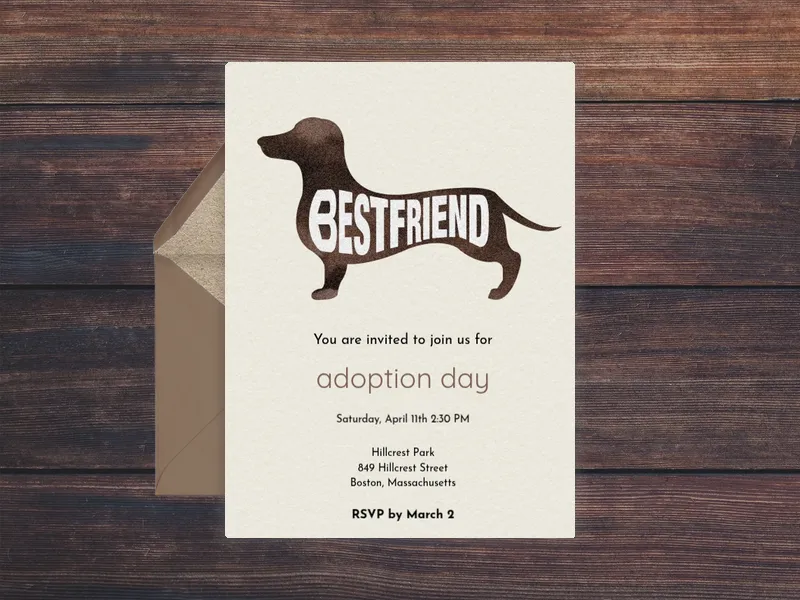 Pet Silhouette - pet_party - Invitation