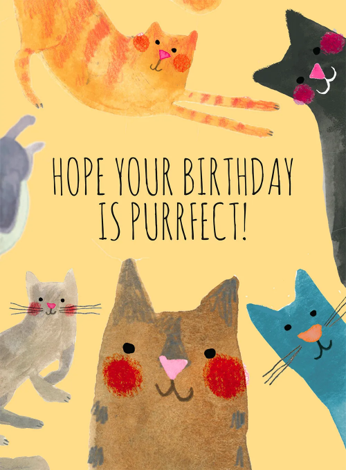 Purrfect Party - birthday_adults_cards - Card