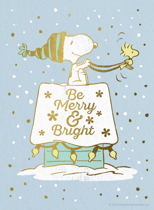 PEANUTS®: Snow Much Fun - featured_cards - Card