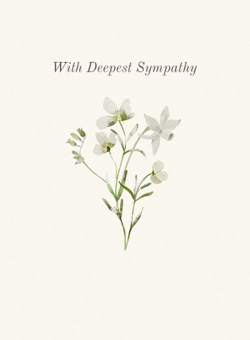 White Flowers & Greenery - sympathy_cards - Card