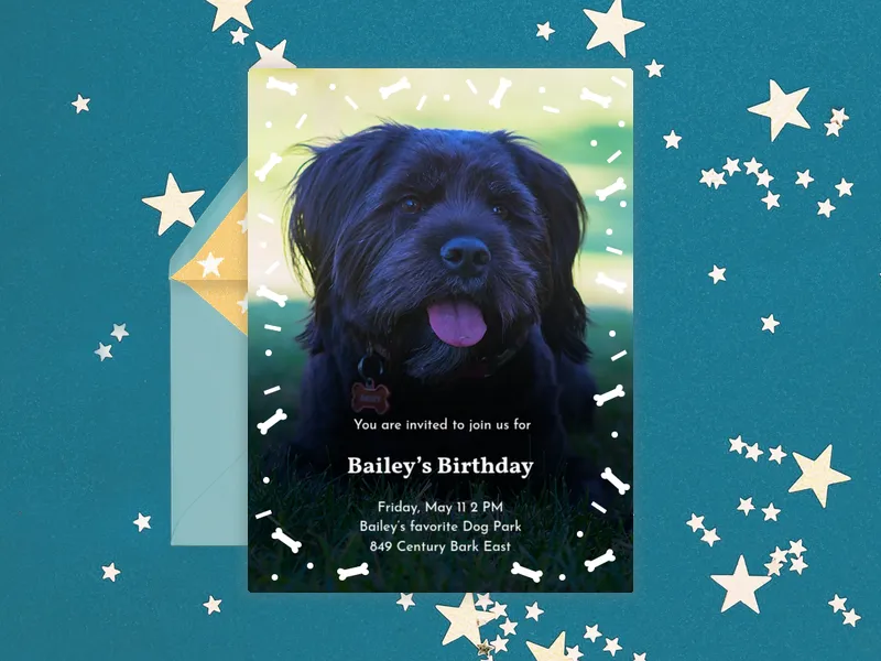 Bailey's Birthday - pet_party - Invitation