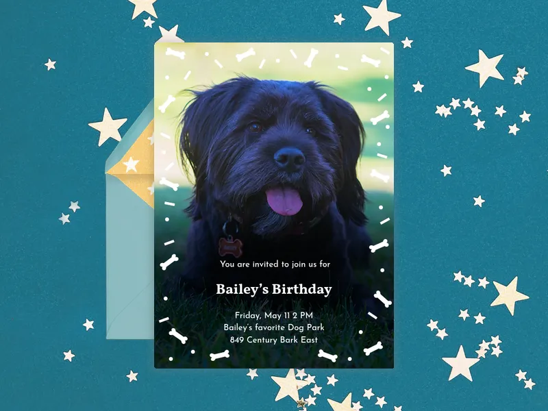 Bailey's Birthday - pet_party - Invitation