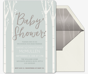 Free Baby Shower Invitations Evite Free Baby Shower Invitations Evite