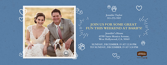 free save the date invitations and cards evite com