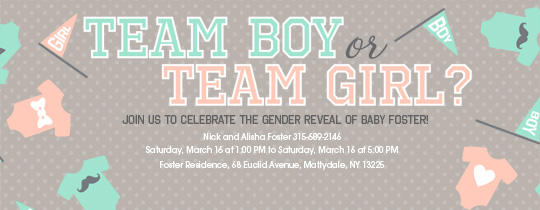 free gender reveal party online invitations evite gender reveal templates